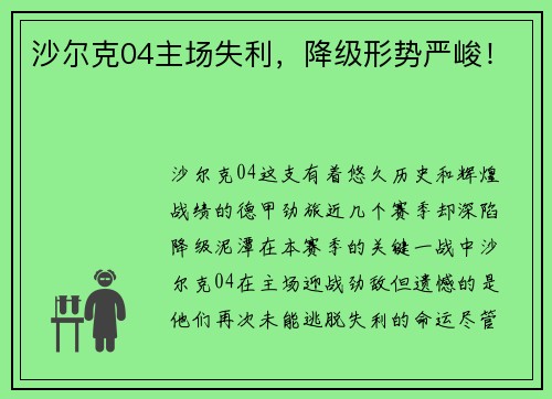 沙尔克04主场失利，降级形势严峻！